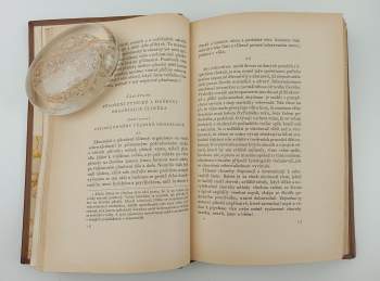 Tomáš Garrigue Masaryk: Sebevražda hromadným jevem společenským moderní osvěty