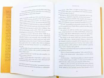 Diana Gabaldon: Sedm kamenů lásky a ztráty