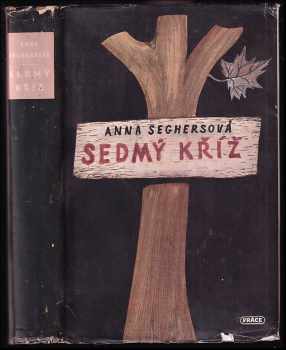 Sedmý kříž