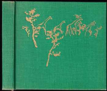 Josef Vágner: Sen safari