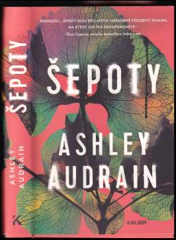 Ashley Audrain: Šepoty