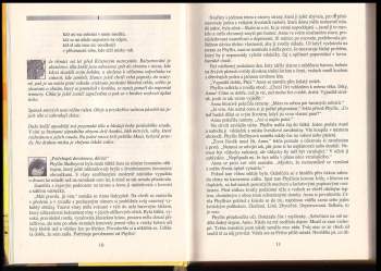Barbara Erskine: Šepoty v písku