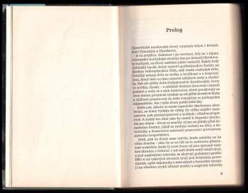 Sergej Vasil'jevič Luk‘janenko: Šerá hlídka