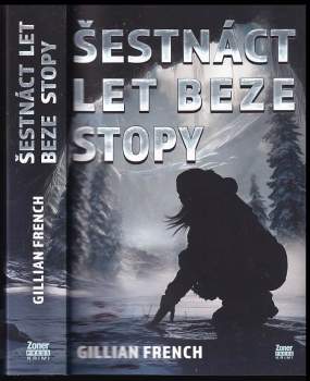 Šestnáct let beze stopy