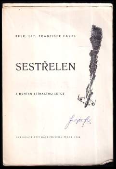 Sestřelen