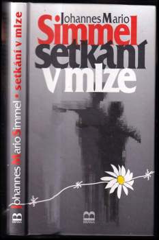 Setkání v mlze