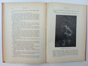 Jules Verne: Sever proti jihu