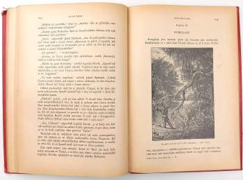 Jules Verne: Sever proti jihu