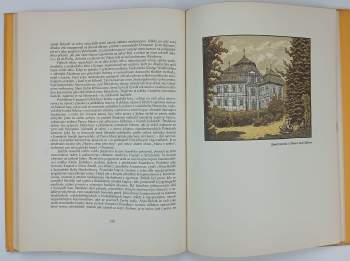 Karel Vik: Severní Čechy