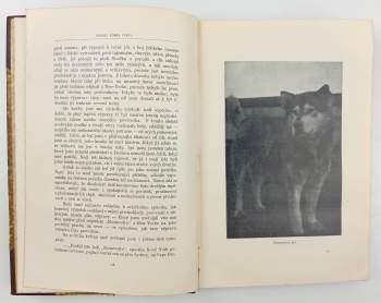 Robert Edwin Peary: Severní točna