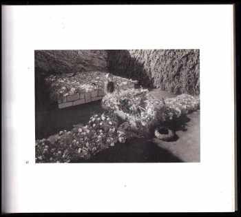Josef Sudek: Sezimovo Ústí - Letní sídlo Edvarda Beneše