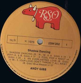 Andy Gibb: Shadow Dancing