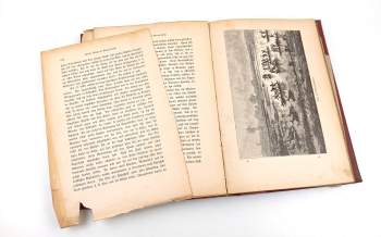 Emil Holub: Sieben Jahre in Süd-Afrika Erlebnisse, Forschungen und Jagden auf meinen Reisen von den Diamantfeldern zum Zambesi (1872-1879)