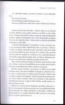Karin Lednická: Šikmý kostel