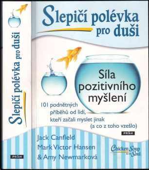 Slepičí polévka pro duši