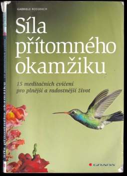 Síla přítomného okamžiku