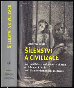 Šílenství a civilizace