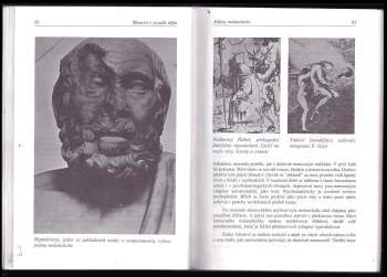 Michal Černoušek: Šílenství v zrcadle dějin