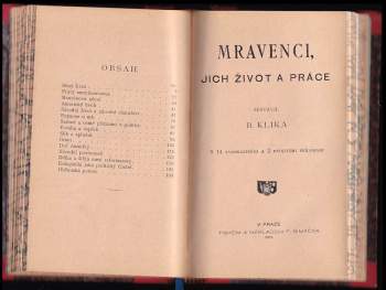 Mravenci, jich život a práce