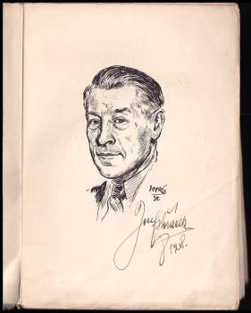 Josef Horáček: Siluety Brna