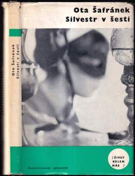 Silvestr v šesti
