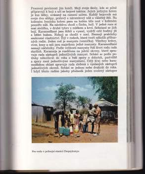 Josef Vágner: Simba a ti druzí