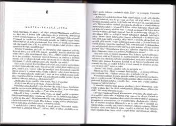 Alan Levy: Simon Wiesenthal a jeho případy