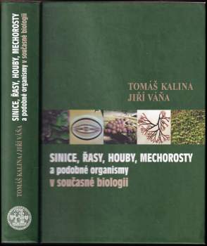 Sinice, řasy, houby, mechorosty a podobné organismy v současné biologii