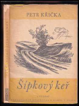 Šípkový keř