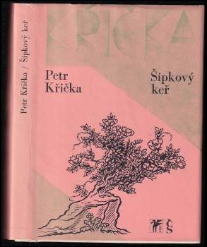 Petr Křička: Šípkový keř