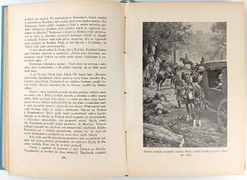 František Josef Čečetka: Sirotci