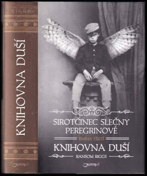 Sirotčinec slečny Peregrinové