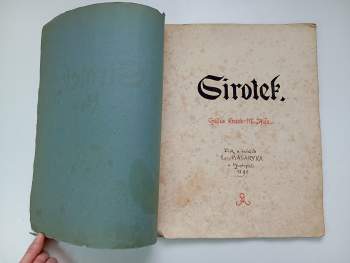 Mikoláš Aleš: Sirotek
