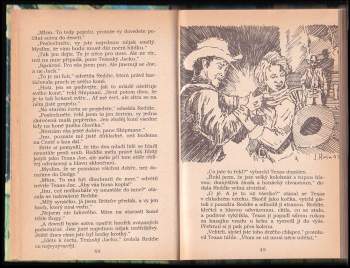 Zane Grey: Sirotek z pastvin