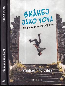 Koldaev: Skákej jako Vova