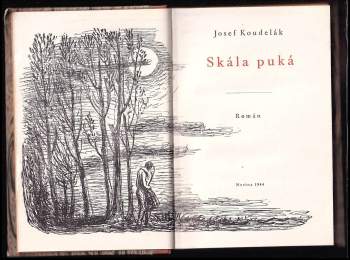 Josef Koudelák: Skála puká