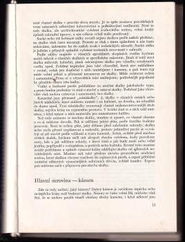 Vlastimil Vaněk: Skalka