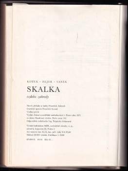 Vlastimil Vaněk: Skalka