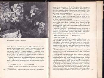 Emil Mašín: Skalky a skalničky