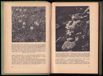 Jaroslav Nauman: Skalky a skalničky