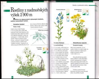 Vlasta Vodičková: Skalky a skalničky