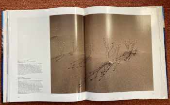 Takashi Iwahashi: Skalnaté hory