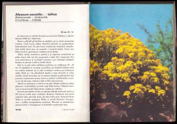 Vlastimil Vaněk: Skalničky