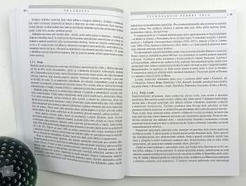 Vlastimil Vondruška: Sklářství