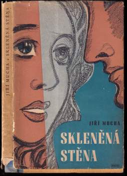 Skleněná stěna