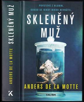 Skleněný muž : 2