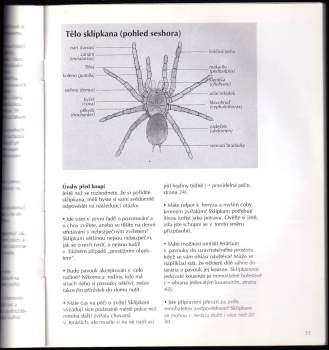 Volker von Wirth: Sklípkani