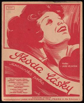 Škoda lásky