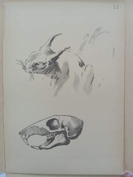 A. Ludvík Salač: Škola kreslení