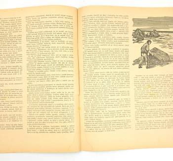Jules Verne: Škola robinsonů